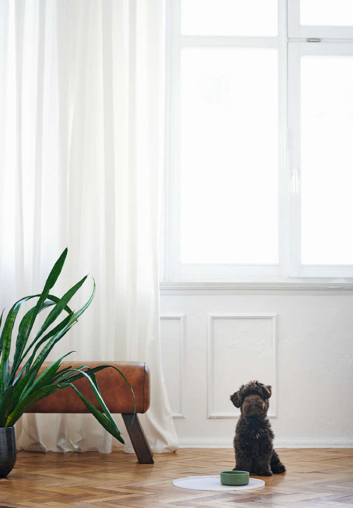 HUNTER Keramik-Napf Osby